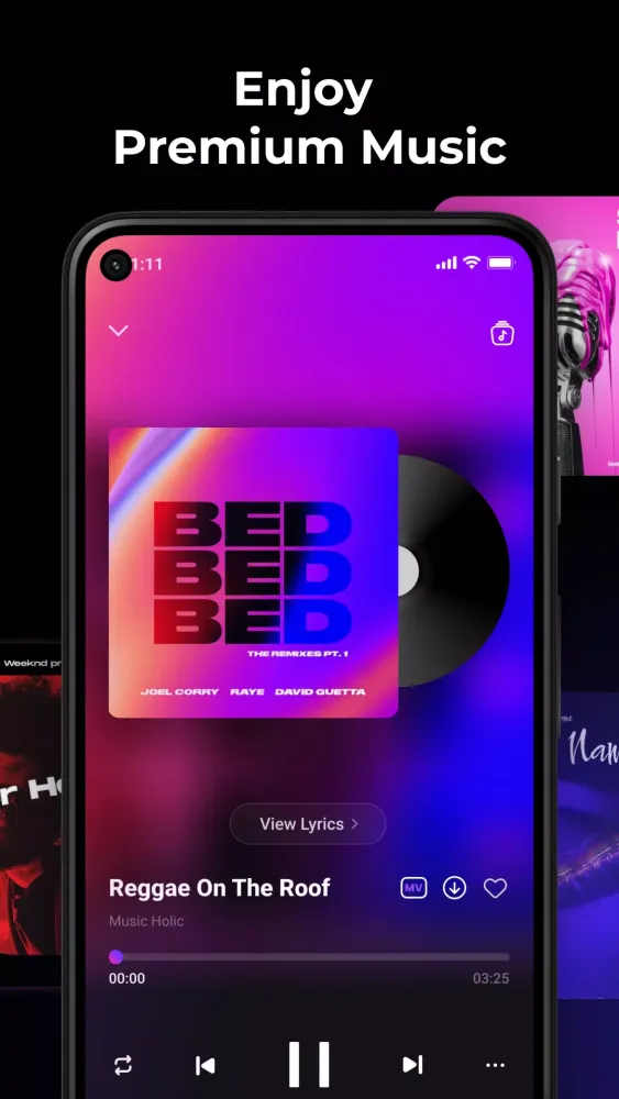 Music Echo-Offline Music Screenshots