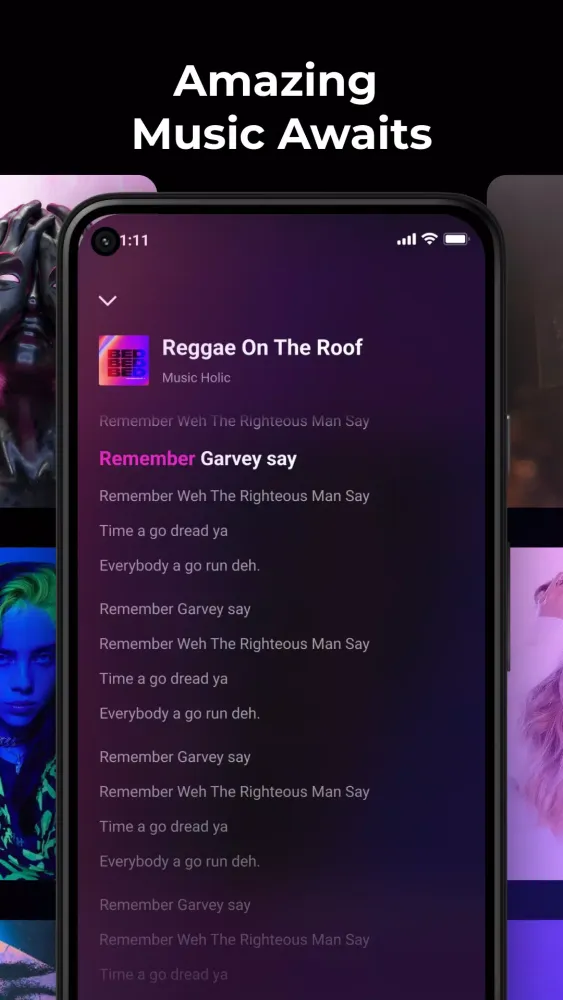 Music Echo-Offline Music Screenshots