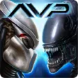 AVP Evolution