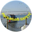 Food Packaging Safety Audit Food Packaging Safety Audit