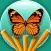 Jungle Escape - Through The Jungle Butterflies Free