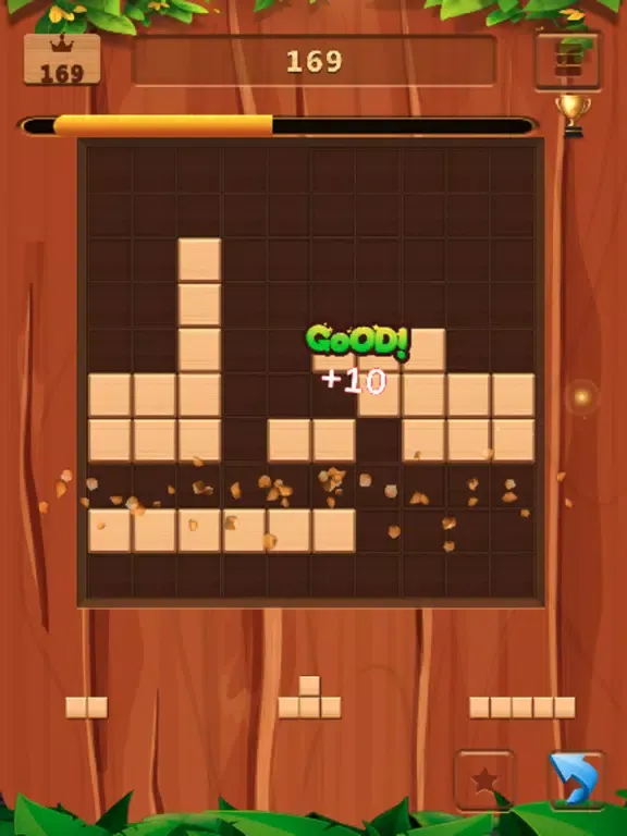 Block Puzzle Game Wood Pro iPad 应用截图