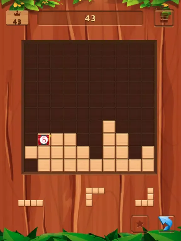 Block Puzzle Game Wood Pro iPad 应用截图