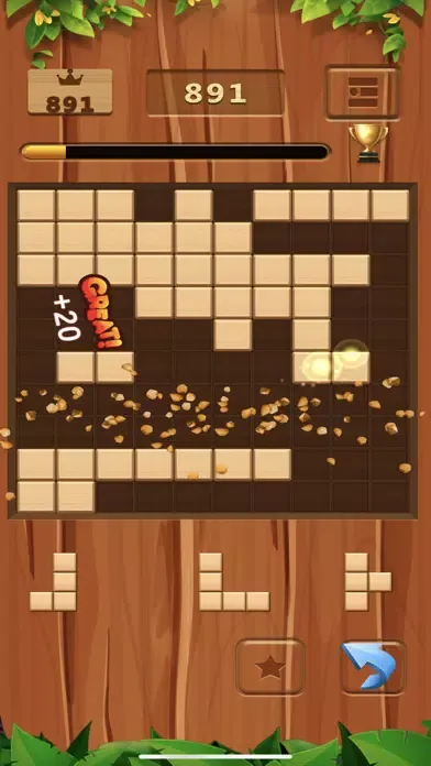 Block Puzzle Game Wood Pro应用截图