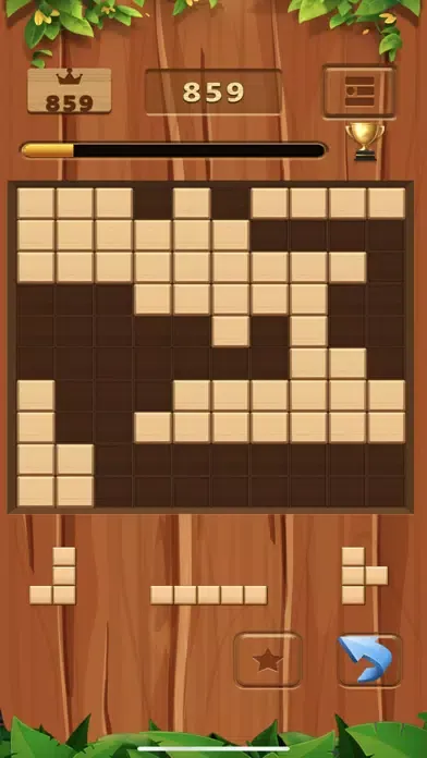 Block Puzzle Game Wood Pro应用截图