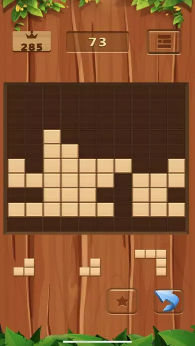 Block Puzzle Game Wood Pro应用截图