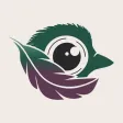 FeatherSnapCam FeatherSnapCam