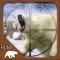 Hunt The Wild Bear - 2017
