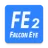 FE DVR 2.0