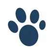 Feed and Go - Smart Pet Feeder Feed and Go - Smart Pet Feeder