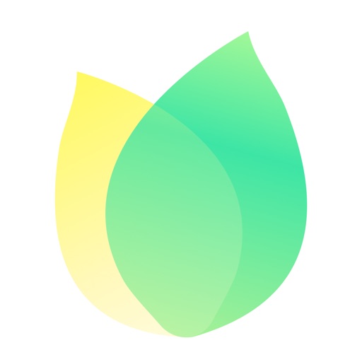 飞火动态壁纸-热门壁纸动态桌面手机主题精选