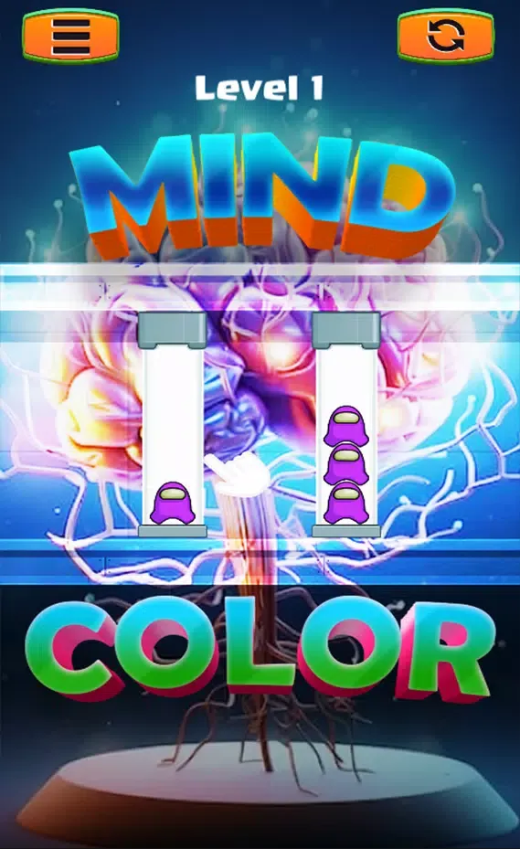Mind Color Puzzle Game Screenshots