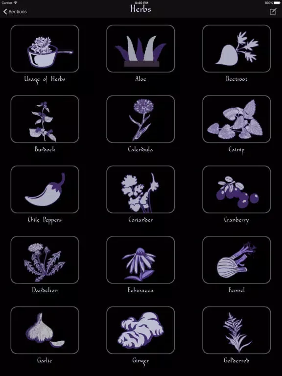 Capturas de tela do Wicca Plus iPad 