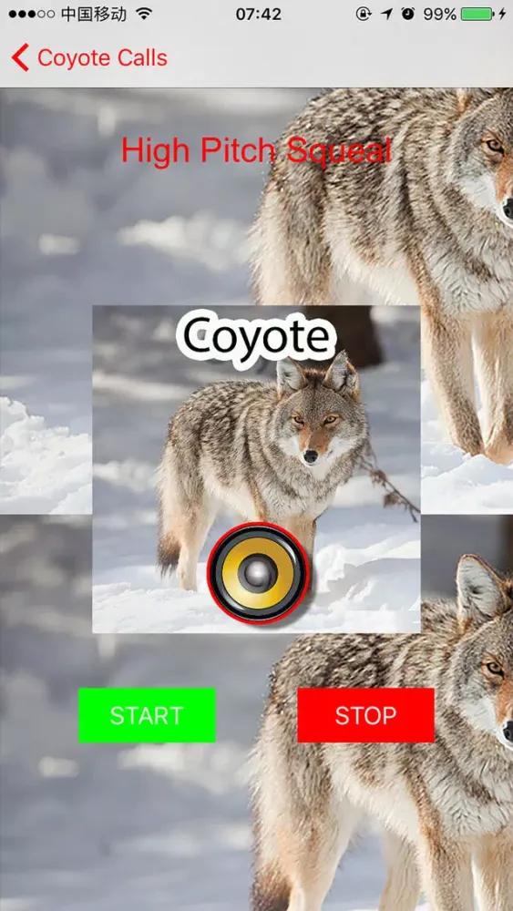 Real Coyote Hunting Calls & Sounds应用截图