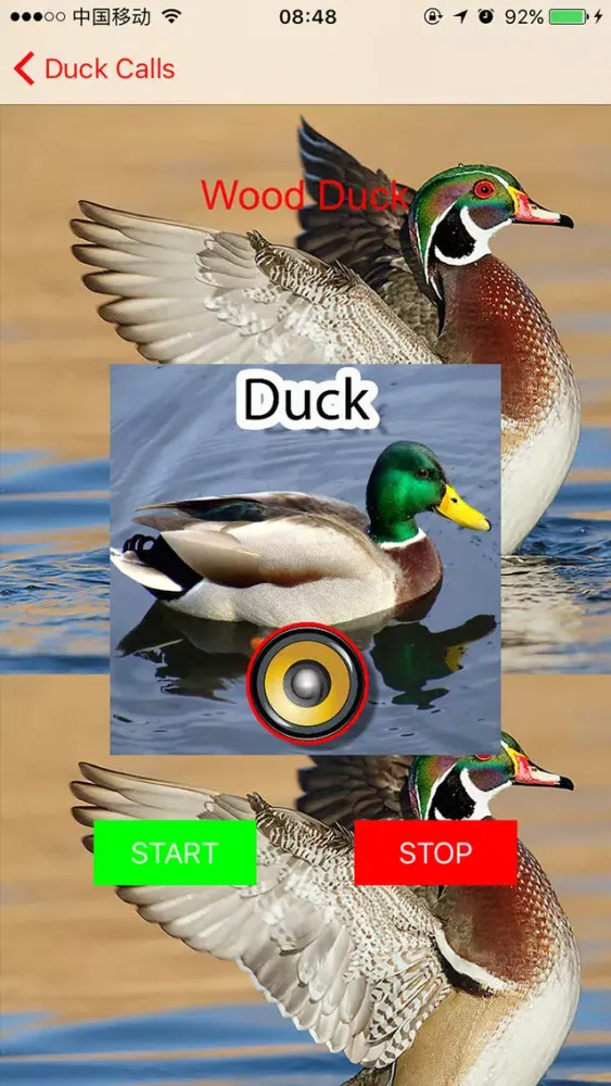 Real Duck Hunting Calls & Sounds স্ক্রিনশট