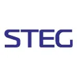 STEG DSP