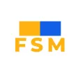fentu FSM Tech fentu FSM Tech
