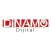 Dinamo Video Çözüm