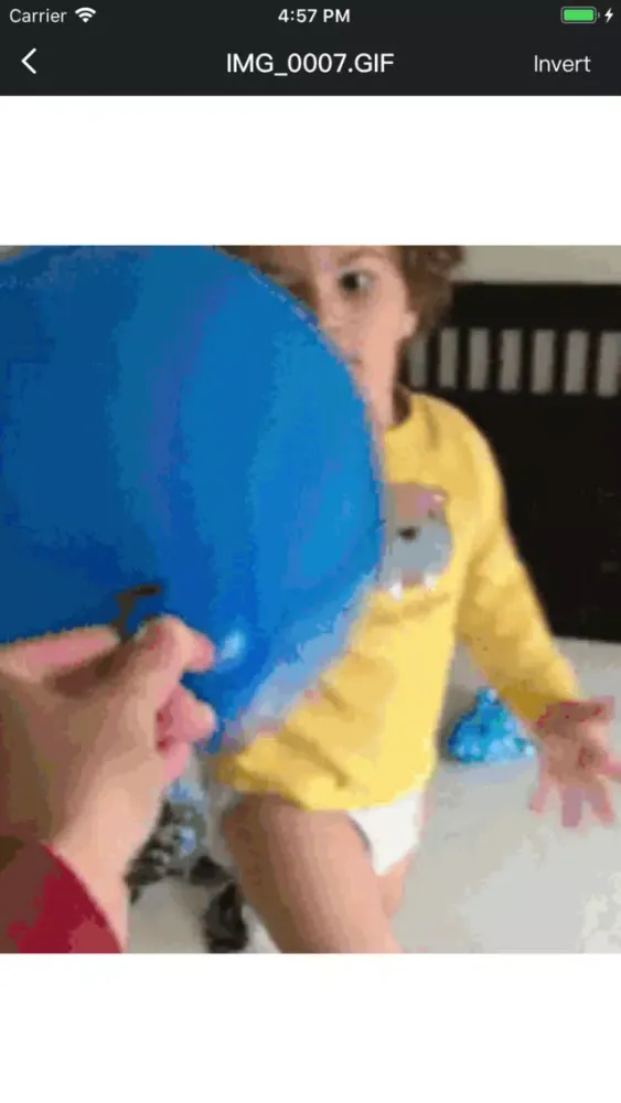 Invert My GIF Screenshots