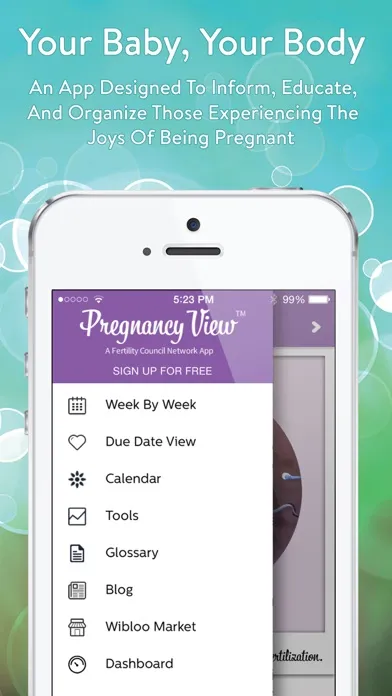 صور Pregnancy View