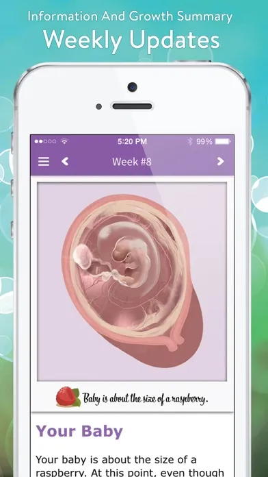 صور Pregnancy View