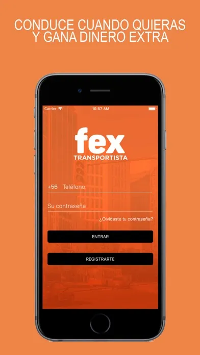 Fex Transportista স্ক্রিনশট