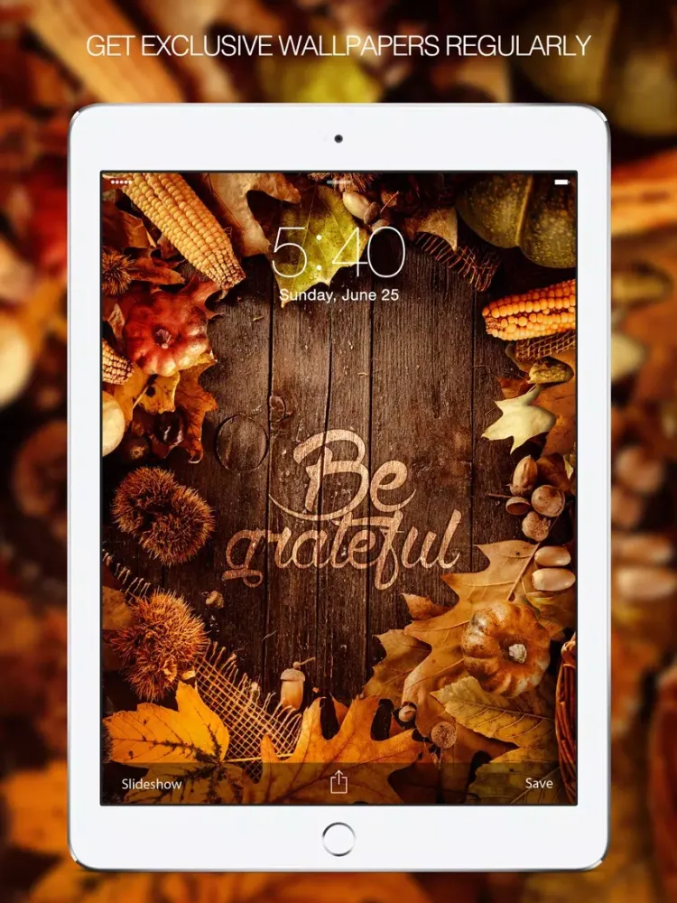 Thanksgiving Day – Thanksgiving Quotes & Greetings iPad  Ekran Görüntüleri