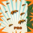 Attack of the Bees Pro Attack of the Bees Pro