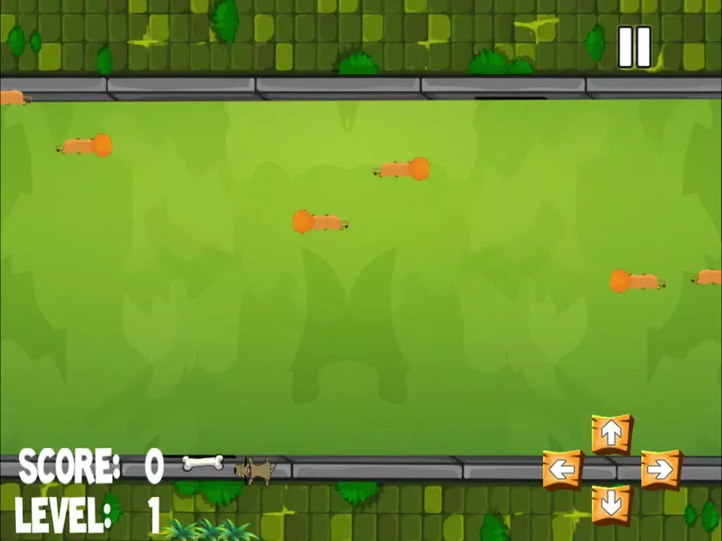 Zrzuty ekranu A Flash Dog in the Park Tasting Bones Around A Fury Lions Free iPad 