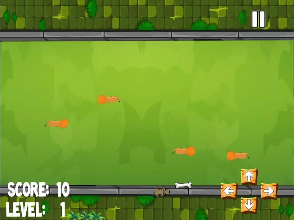 Zrzuty ekranu A Flash Dog in the Park Tasting Bones Around A Fury Lions Free iPad 