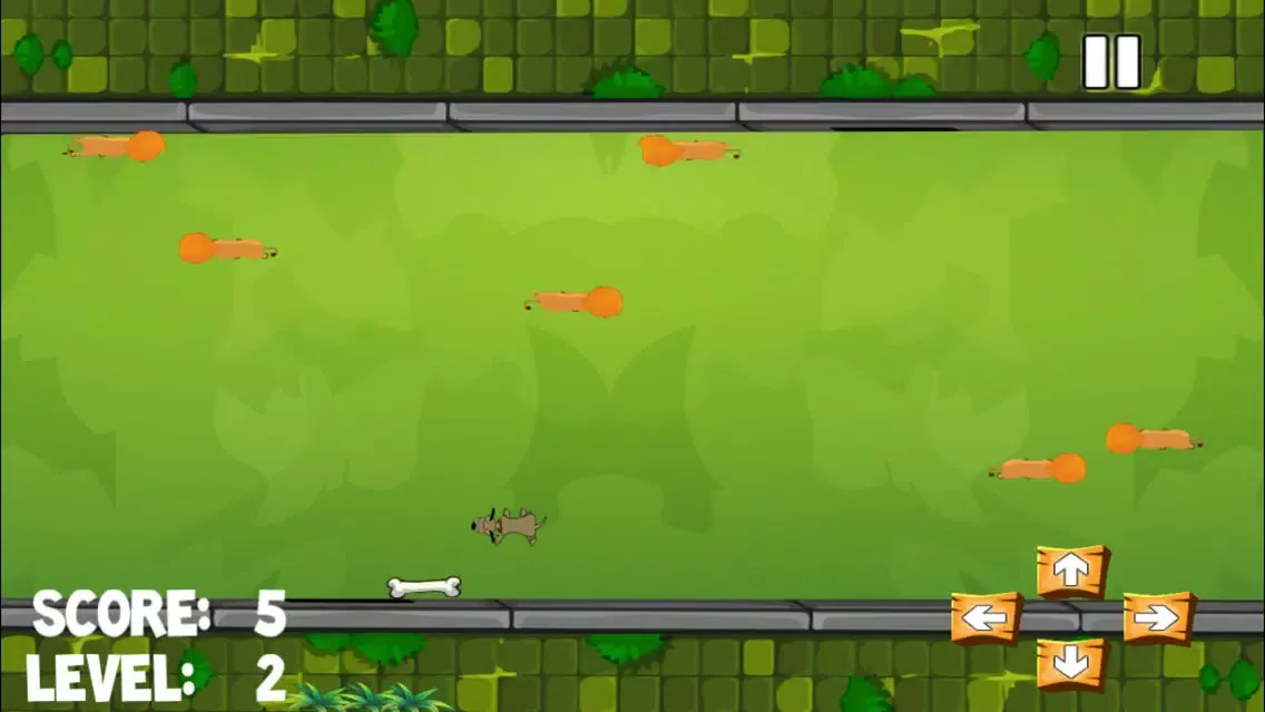 Zrzuty ekranu A Flash Dog in the Park Tasting Bones Around A Fury Lions Free