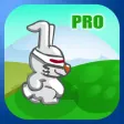 Bunny Scape Pro