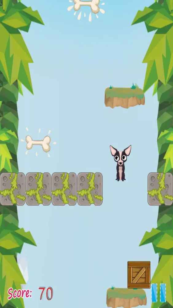 صور Sparky the Chihuahua Hops Fiercely in a Rocky Long Cliff Free
