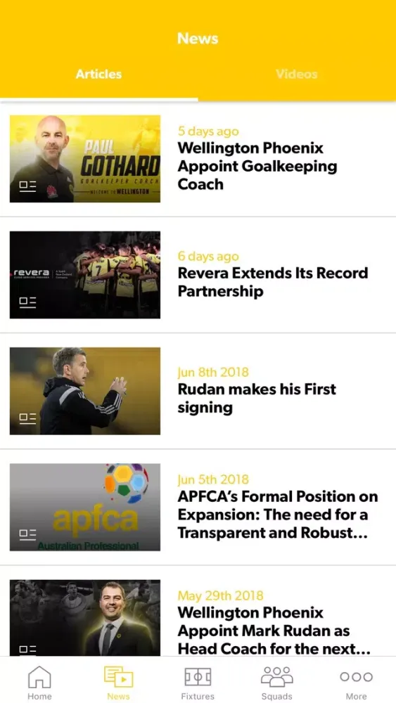 Скриншоты Wellington Phoenix
