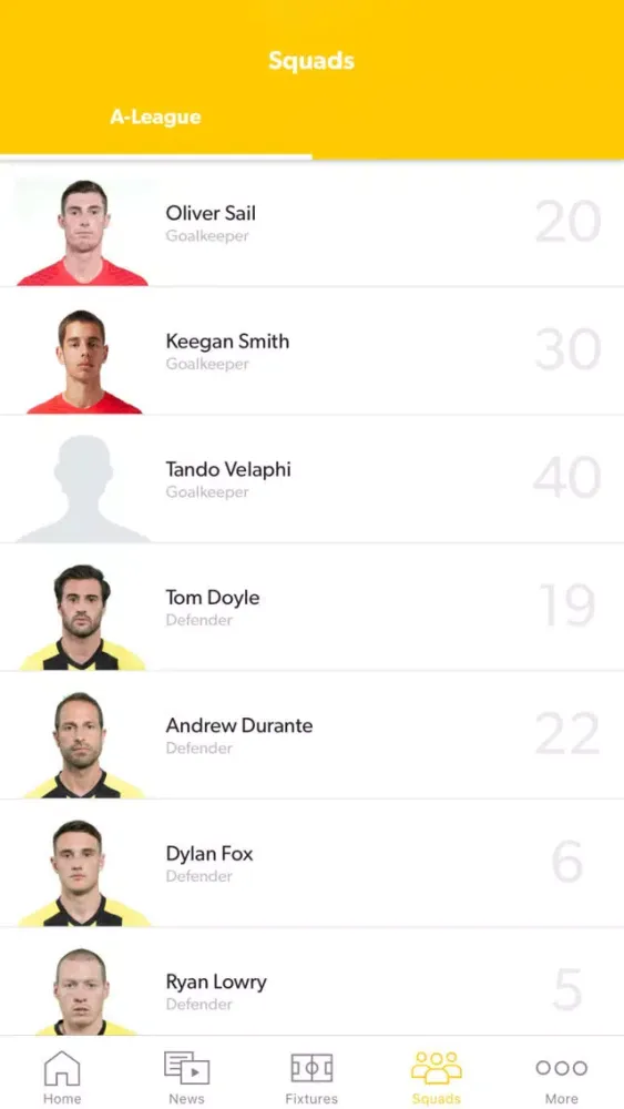 Скриншоты Wellington Phoenix