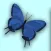 Butterfly Garden 3D