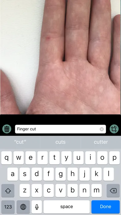 Synapse Connext Mobile Screenshots