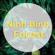 NinhBinhFFW
