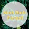 NinhBinhFFW