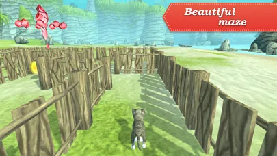 Скриншоты 3D Pets in the Maze