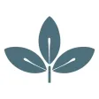 Spoelstra Family Chiropractic