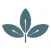 Spoelstra Family Chiropractic