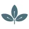 Spoelstra Family Chiropractic