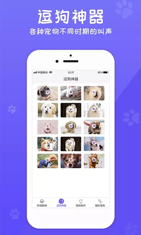 狗语翻译器應用截圖