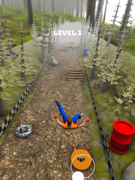 Life Buoy Race iPad 应用截图