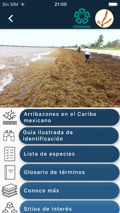 SargaZoom Screenshots