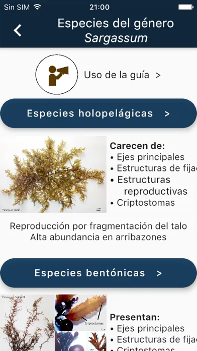 SargaZoom Screenshots