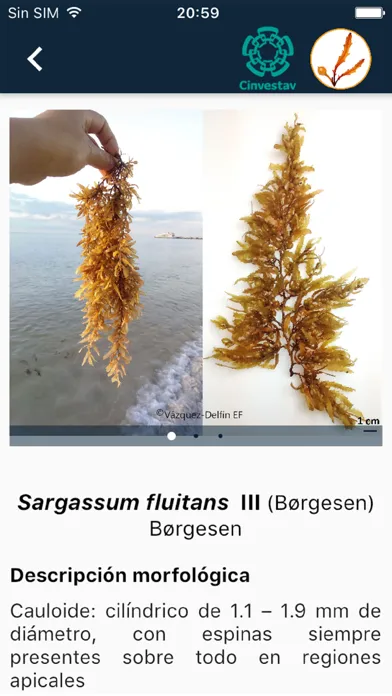 SargaZoom Screenshots