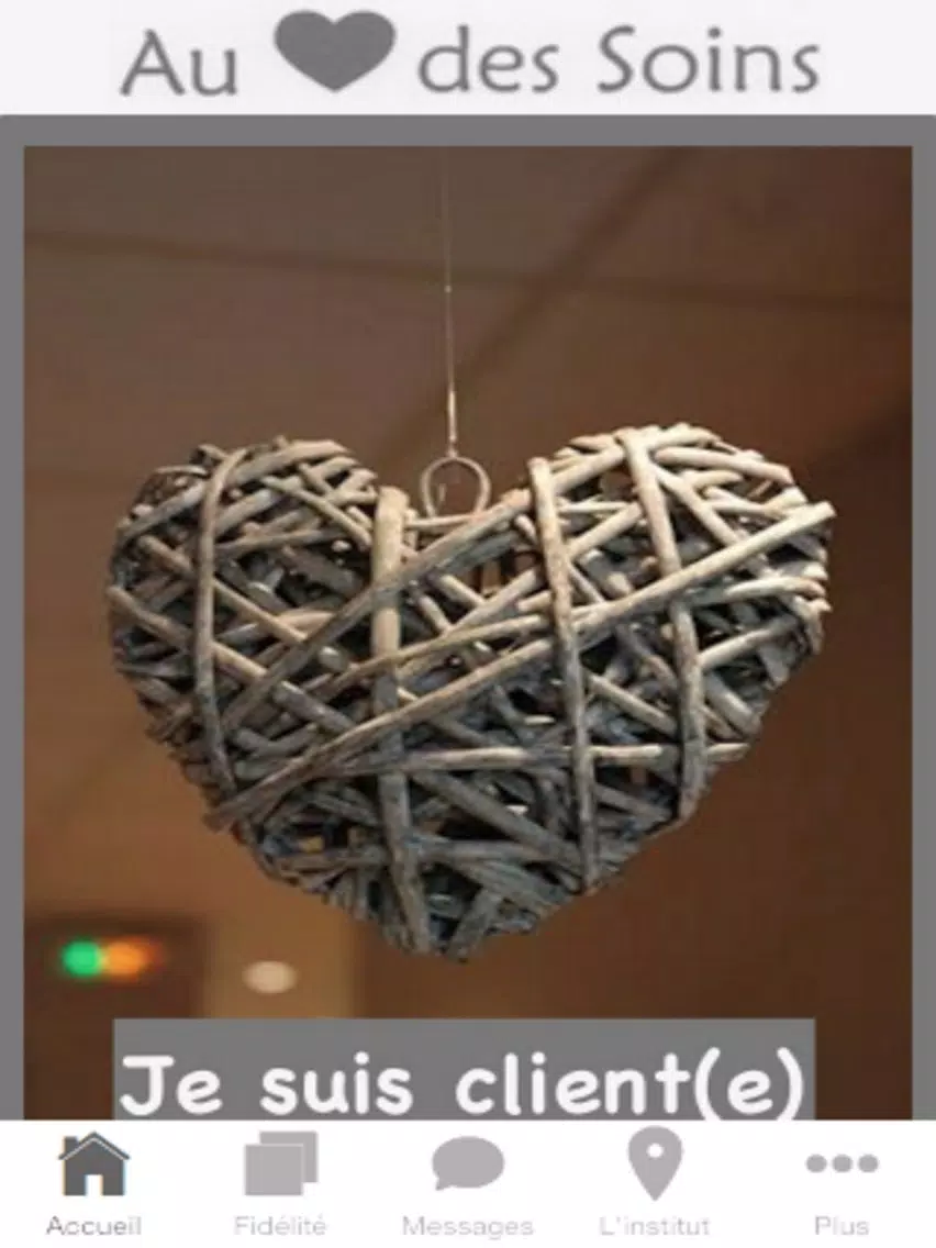 Screenshot di Au Coeur des Soins iPad 
