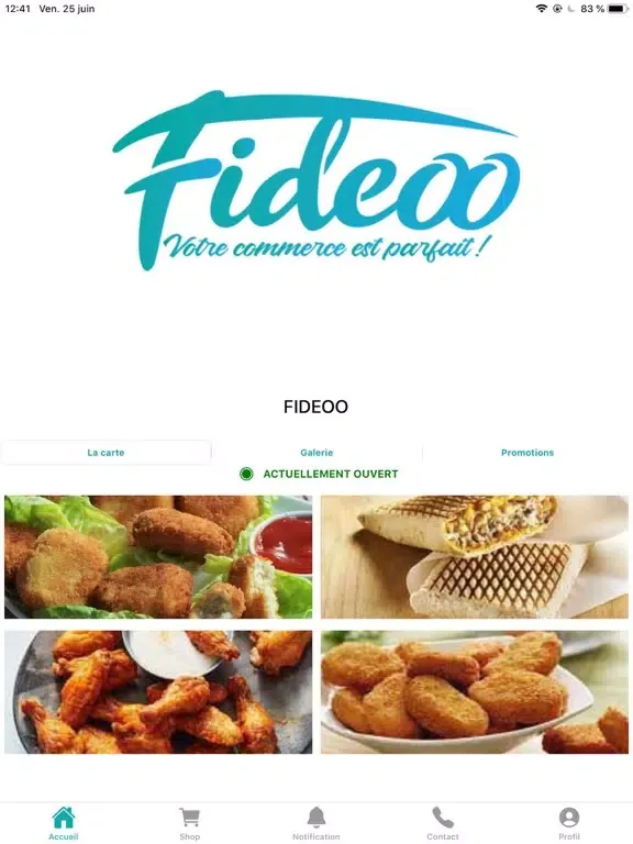 Fideoo iPad  سکرین شاٹس